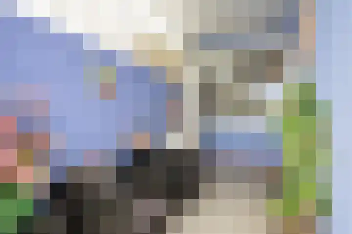Tulpenlaan 43 Geleen thumbnail 19