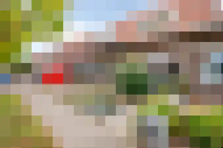 Tulpenlaan 43 Geleen thumbnail 26
