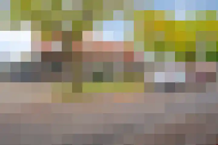 Tulpenlaan 43 Geleen thumbnail 27