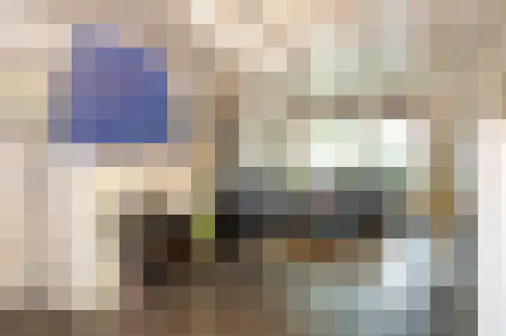 Tulpenlaan 43 Geleen thumbnail 4