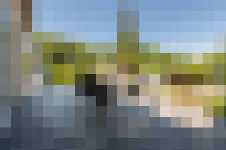 Tulpenlaan 72 Geleen thumbnail 30