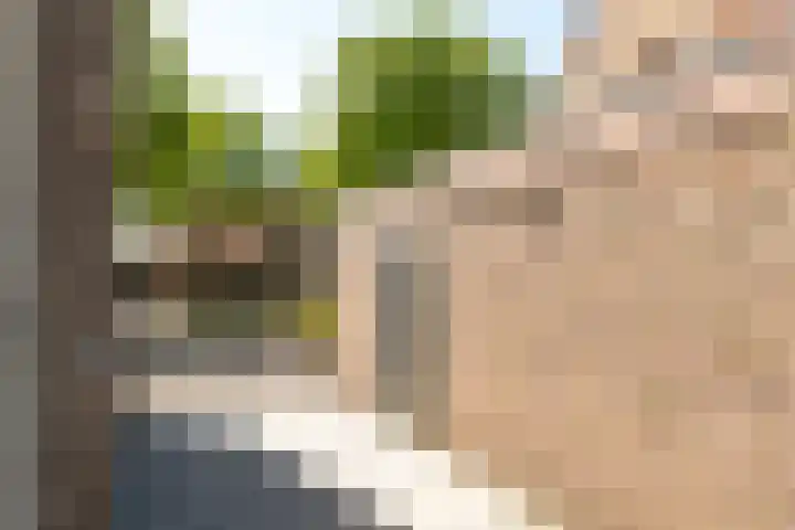 Tulpenlaan 72 Geleen thumbnail 31