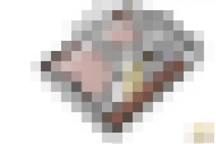Tulpenlaan 72 Geleen thumbnail 40