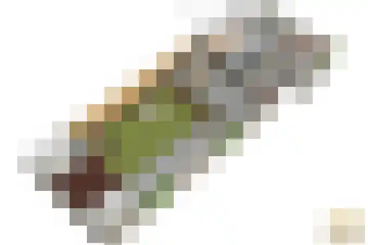 Tulpenlaan 72 Geleen thumbnail 42