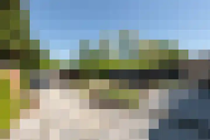 Tulpenlaan 72 Geleen thumbnail 5