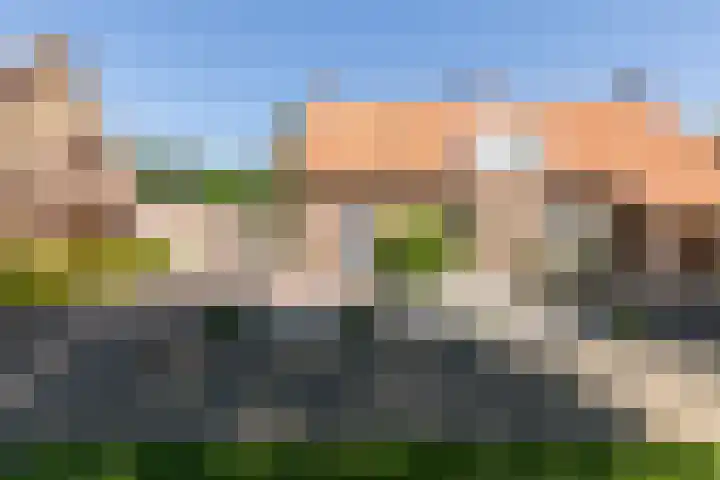 Tulpenlaan 72 Geleen thumbnail 6