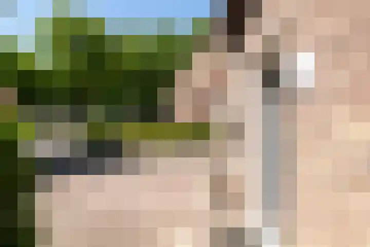 Tulpenlaan 72 Geleen thumbnail 7