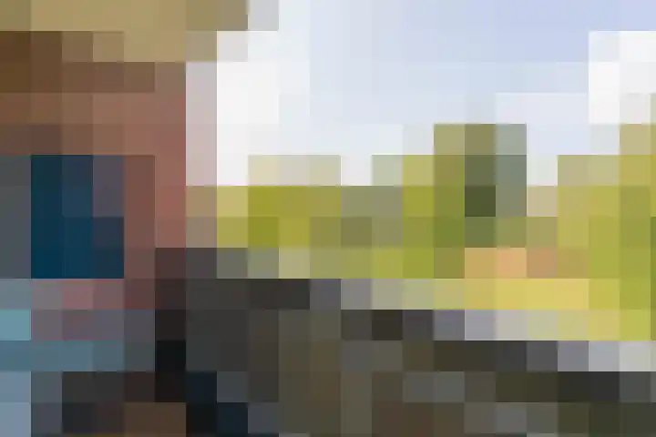 Tulpenoord 15 Rotterdam thumbnail 28