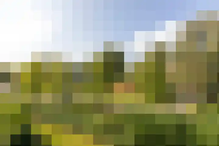 Tulpenoord 15 Rotterdam thumbnail 29