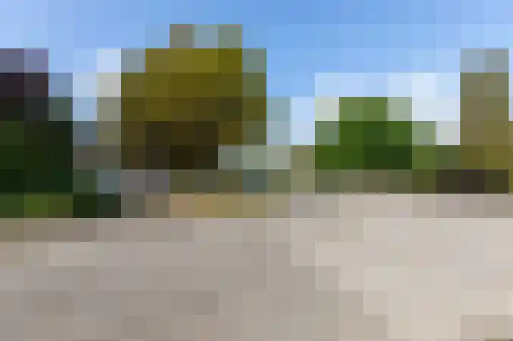 Tulpenoord 15 Rotterdam thumbnail 30