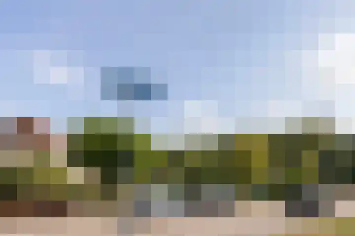 Tulpenoord 15 Rotterdam thumbnail 31