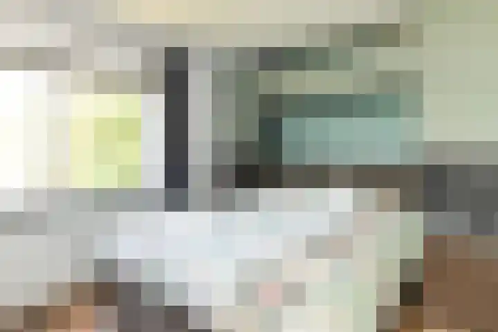 Tulpenoord 15 Rotterdam thumbnail 5