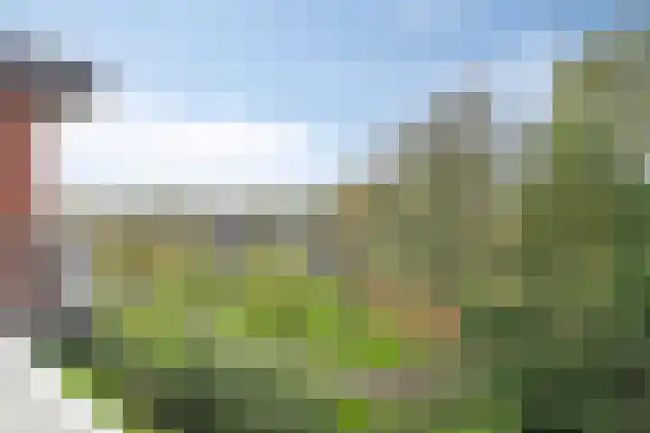 Tulpenoord 17 Rotterdam thumbnail 13