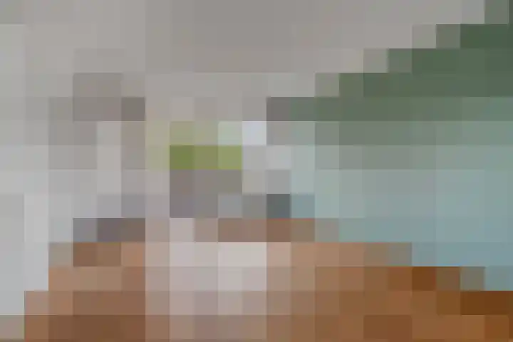 Tulpenoord 17 Rotterdam thumbnail 7