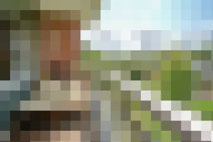 Tulpenoord 41 Rotterdam thumbnail 23