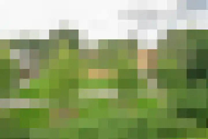 Tulpenoord 41 Rotterdam thumbnail 26