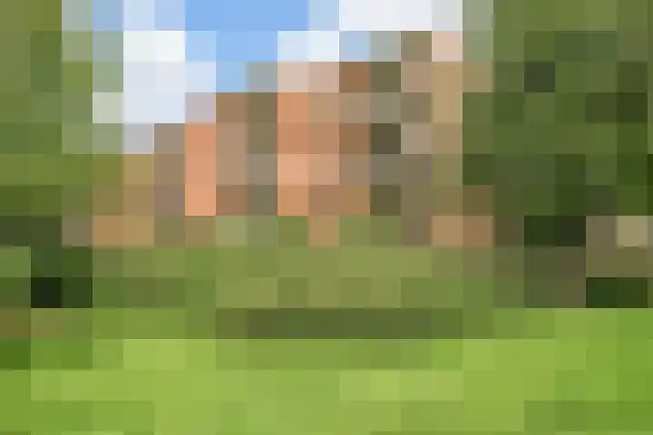 Tulpenoord 41 Rotterdam thumbnail 28