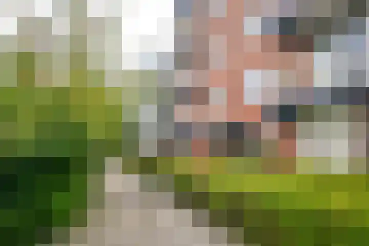 Tulpenoord 41 Rotterdam thumbnail 29