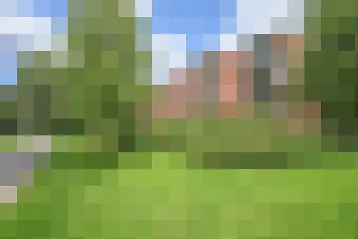 Tulpenoord 41 Rotterdam thumbnail 5