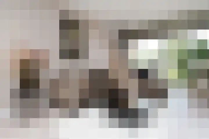 Tulpenoord 41 Rotterdam thumbnail 6