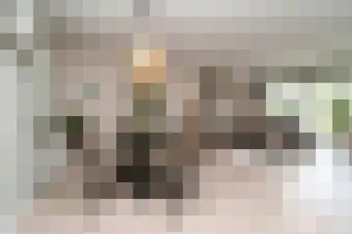 Tulpenoord 41 Rotterdam thumbnail 7