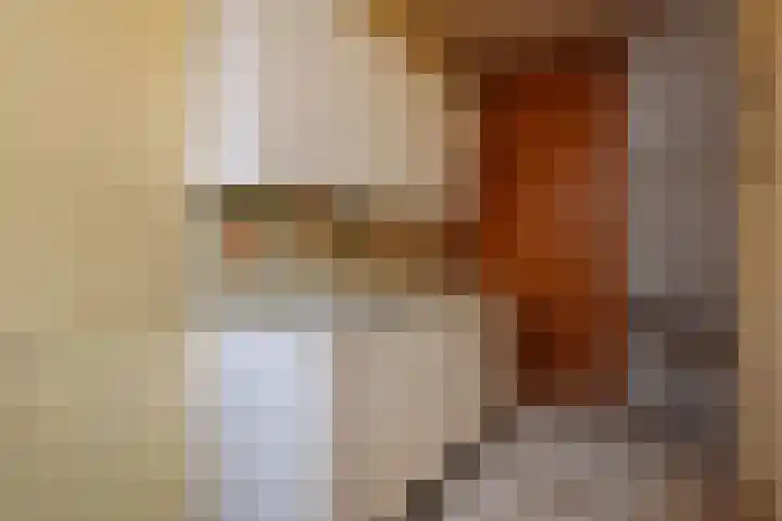 Tulpenpad 4 Gouda thumbnail 11