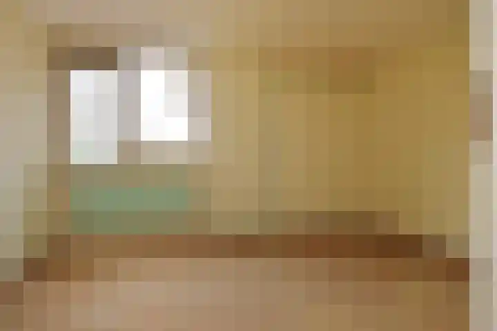 Tulpenpad 4 Gouda thumbnail 17