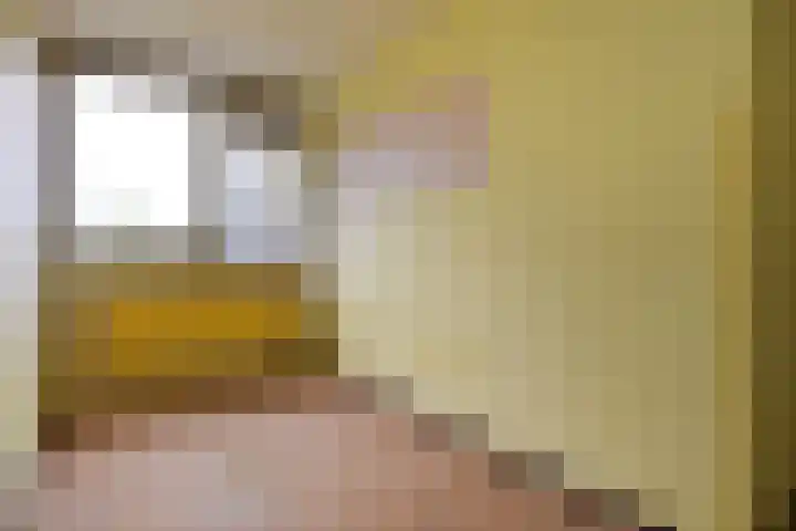 Tulpenpad 4 Gouda thumbnail 21