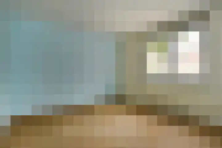 Tulpenpad 4 Gouda thumbnail 27