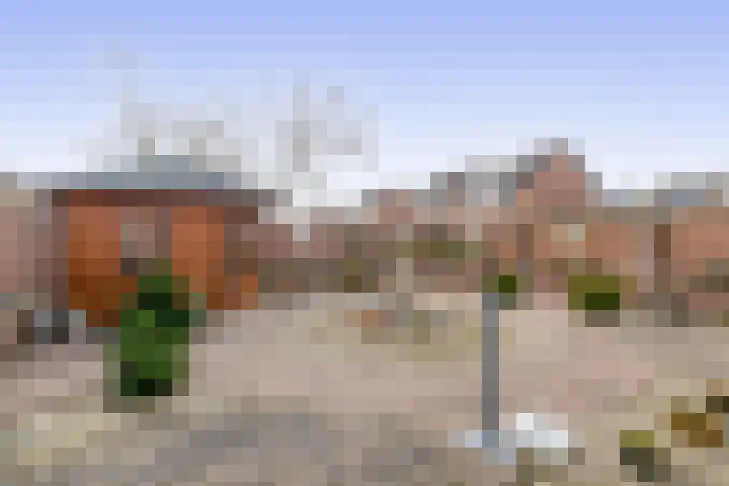 Tulpenpad 9 Stellendam thumbnail 37