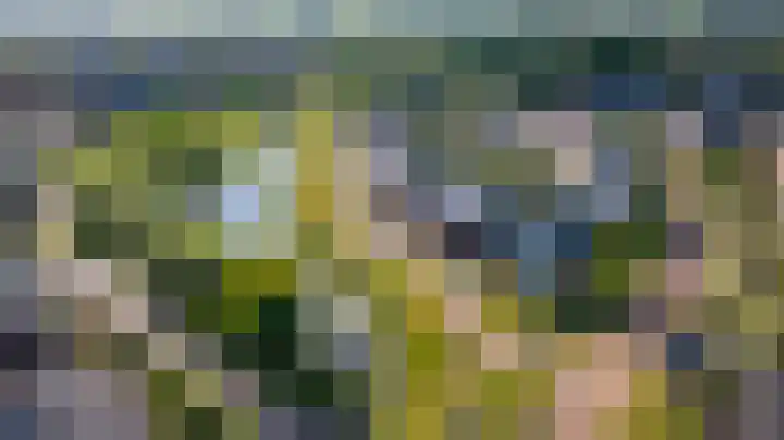 Tulpensingel 17 Woudenberg thumbnail 5