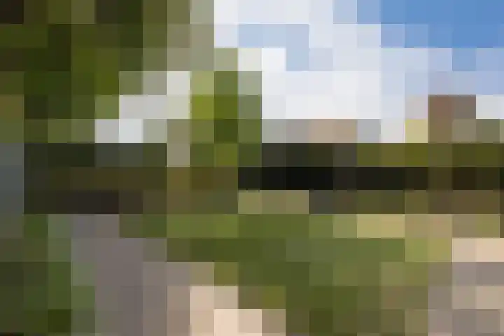 Tulpenstraat 1 A Barneveld thumbnail 30