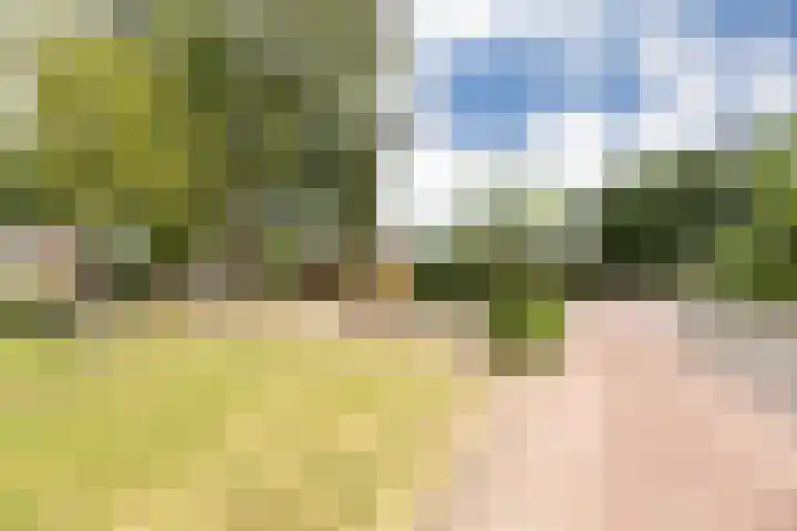 Tulpenstraat 1 A Barneveld thumbnail 36
