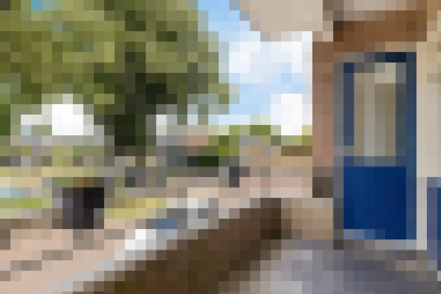 Tulpenstraat 1 Hoogeveen thumbnail 31