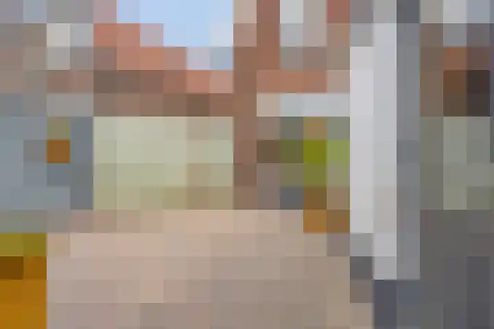 Tulpenstraat 11 Almelo thumbnail 26
