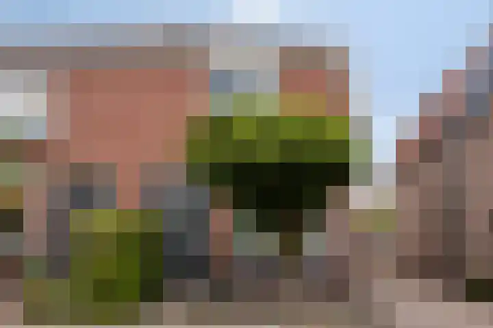 Tulpenstraat 11 Almelo thumbnail 5