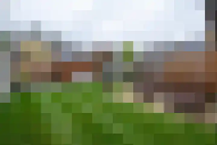 Tulpenstraat 11 Assen thumbnail 18