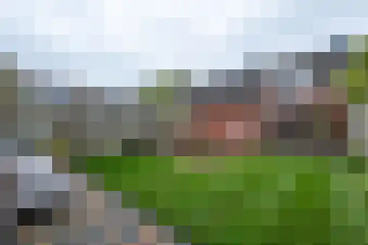 Tulpenstraat 11 Assen thumbnail 19