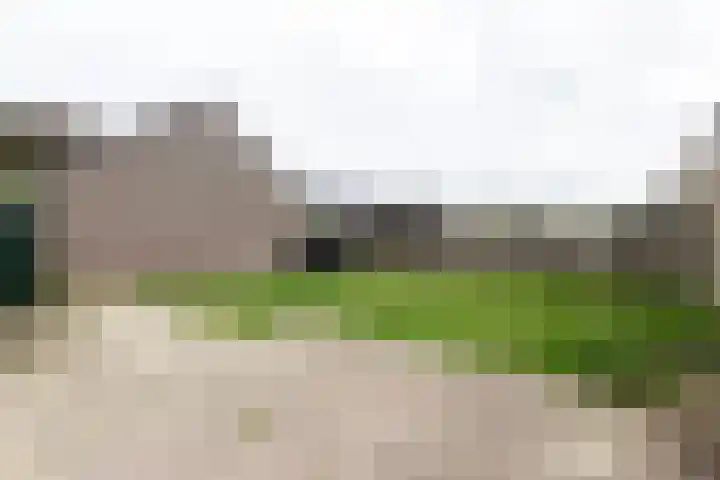 Tulpenstraat 11 Echt thumbnail 21