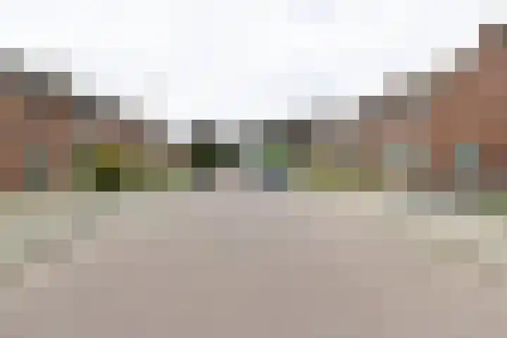 Tulpenstraat 11 Echt thumbnail 25