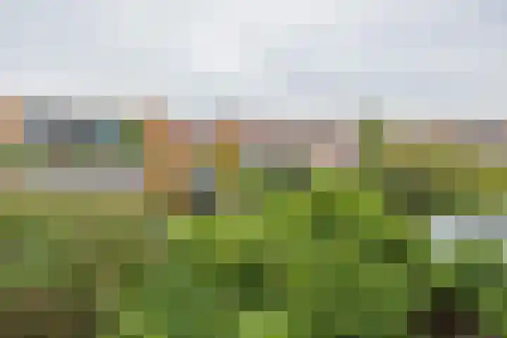 Tulpenstraat 11 Lisse thumbnail 32