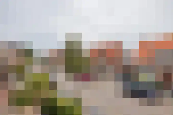 Tulpenstraat 11 Lisse thumbnail 38