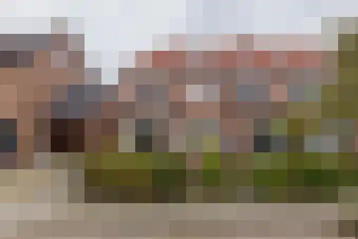 Tulpenstraat 11 Lisse thumbnail 4