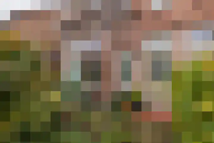Tulpenstraat 11 Lisse thumbnail 5