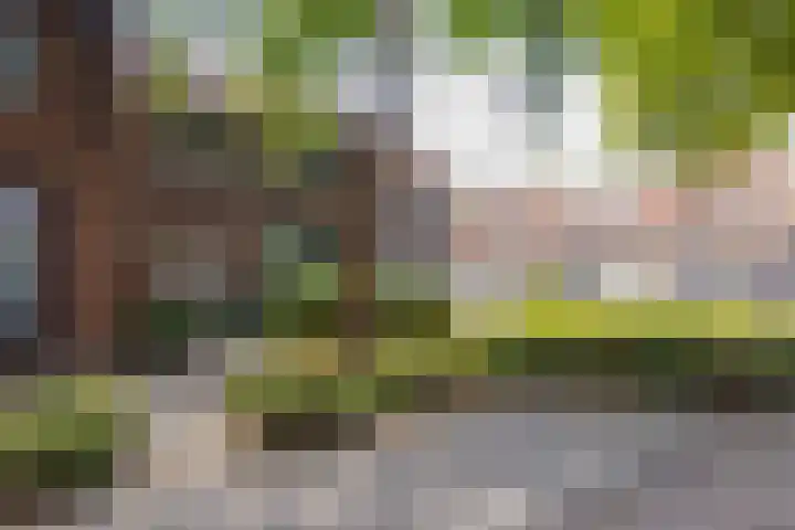 Tulpenstraat 11 Sittard thumbnail 32
