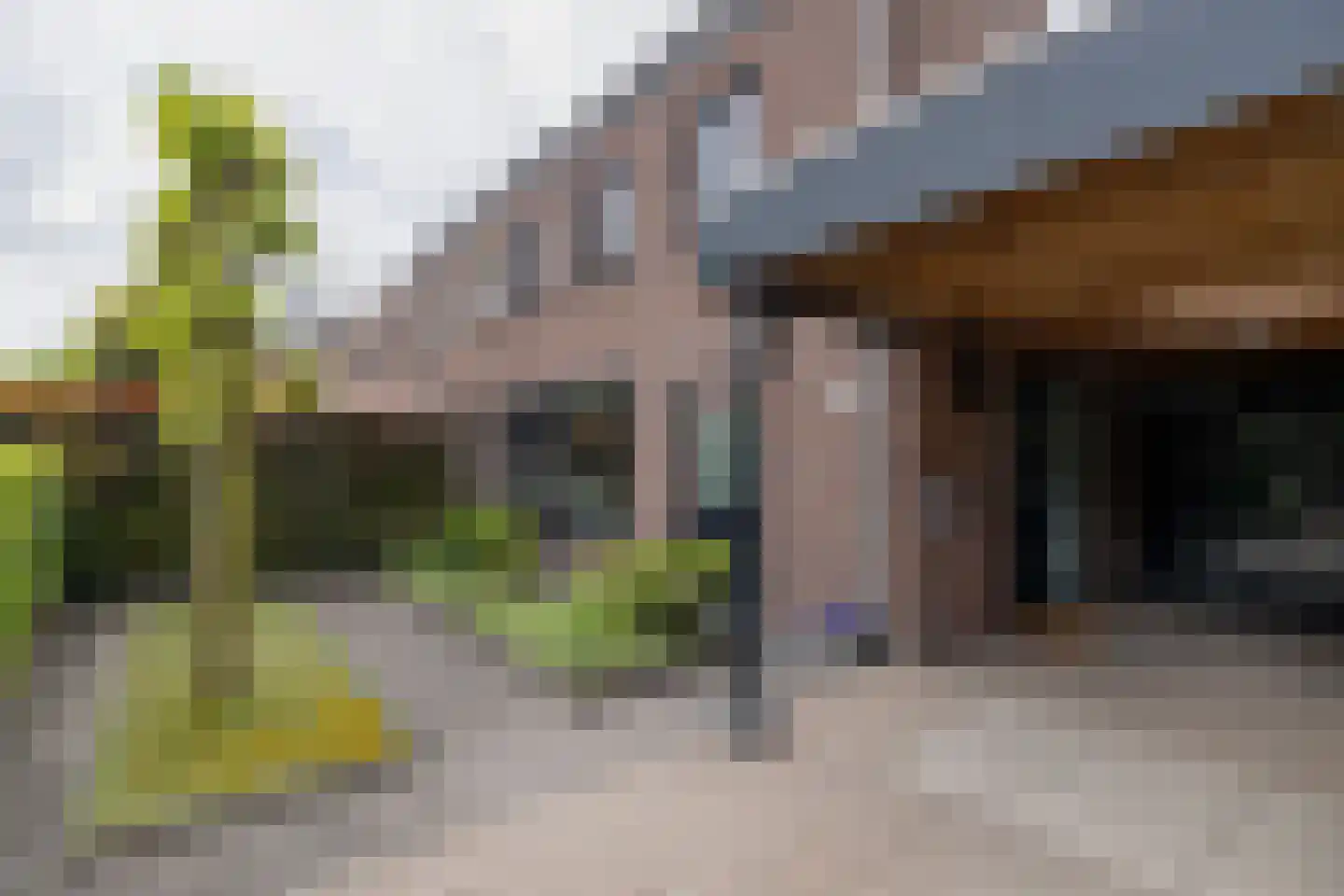 Tulpenstraat 16 Barneveld thumbnail 46