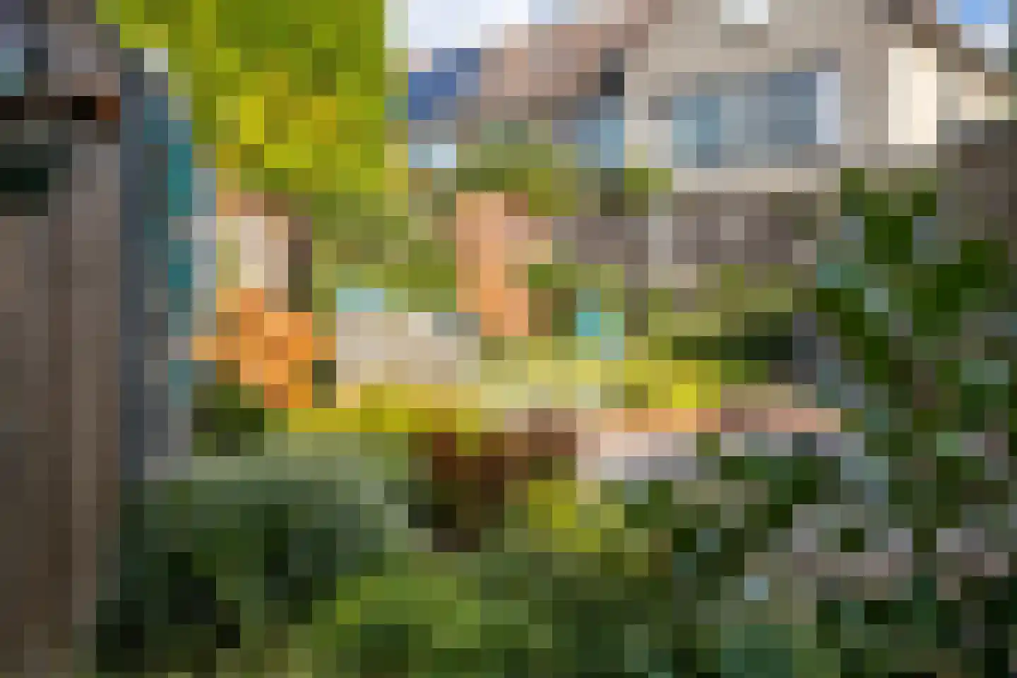 Tulpenstraat 2 a Raalte thumbnail 34