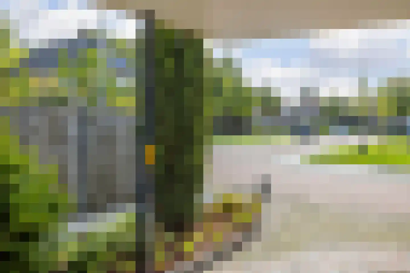 Tulpenstraat 2 a Raalte thumbnail 37