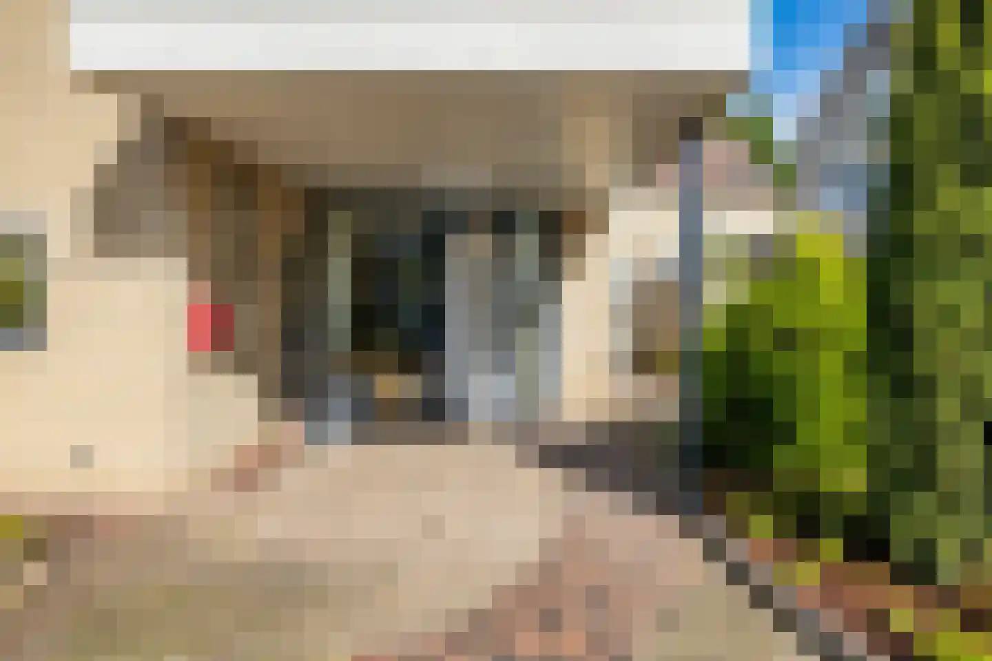 Tulpenstraat 2 a Raalte thumbnail 39