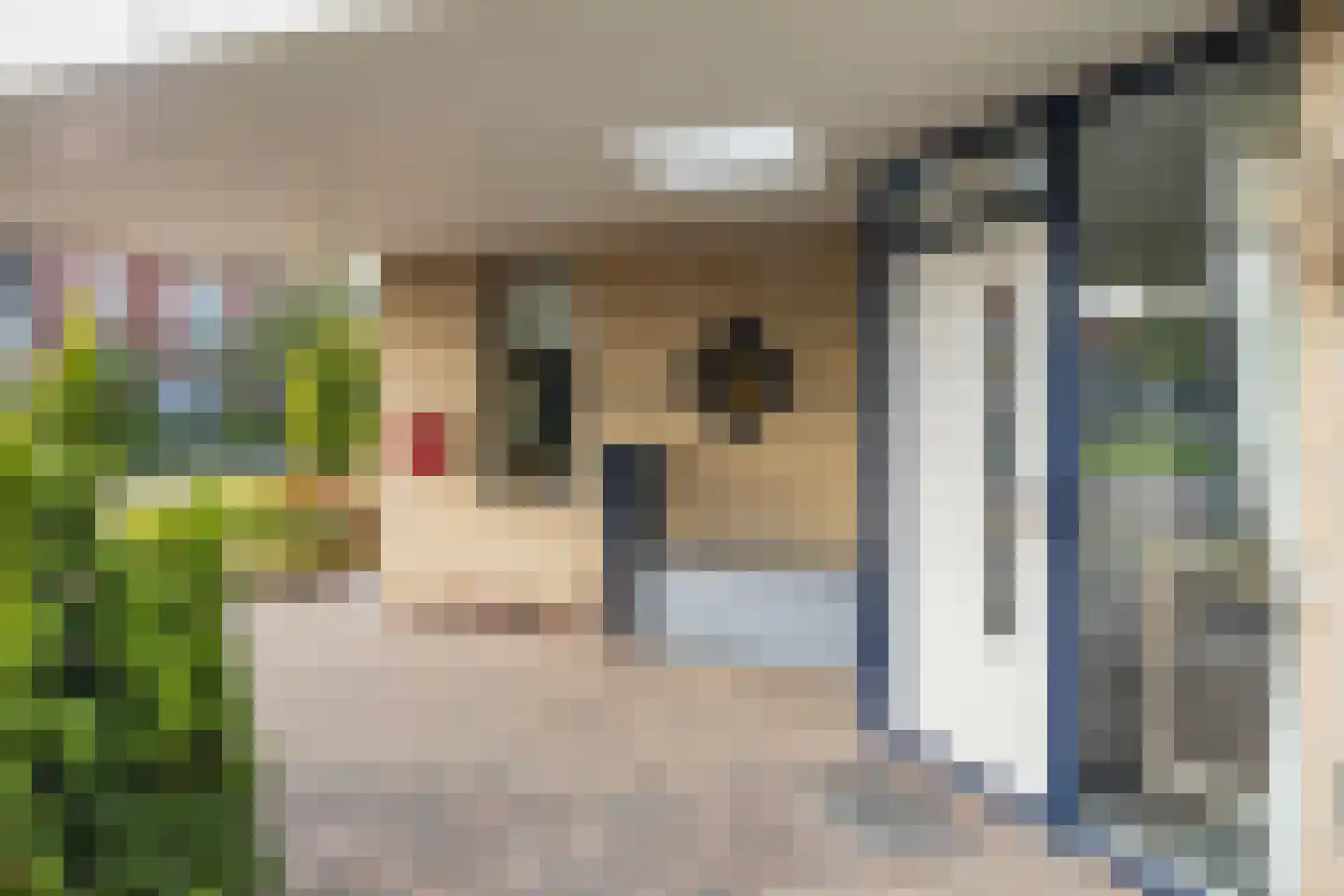 Tulpenstraat 2 a Raalte thumbnail 4